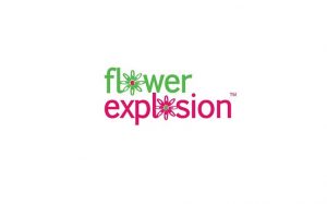 Flower Explosion