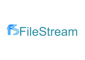 FileStream