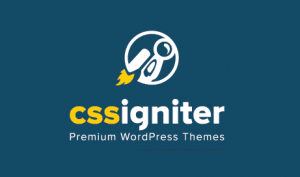 CSSIgniter